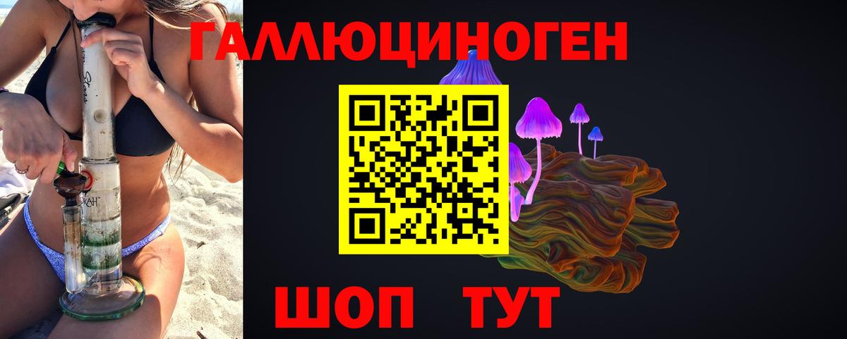 Псилоцибиновые грибы Psilocybine cubensis Ишимбай